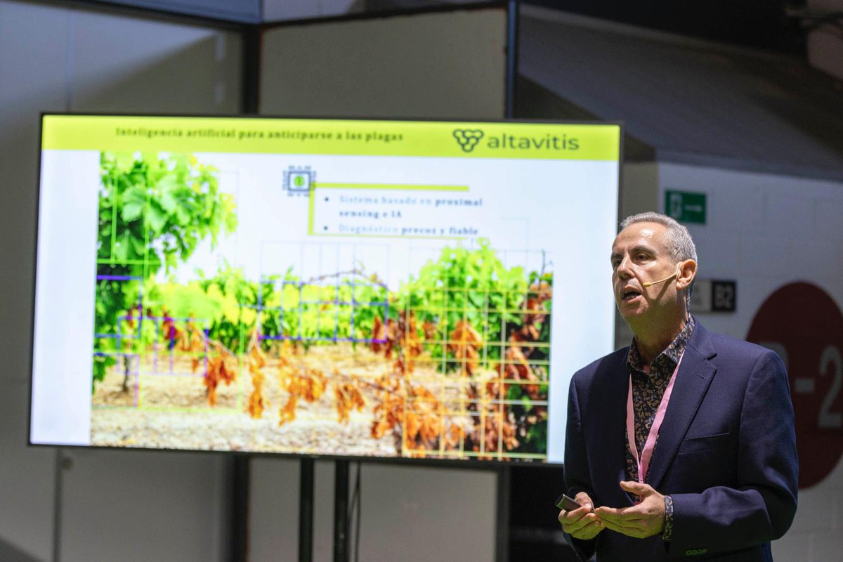 Altavitis tweet media