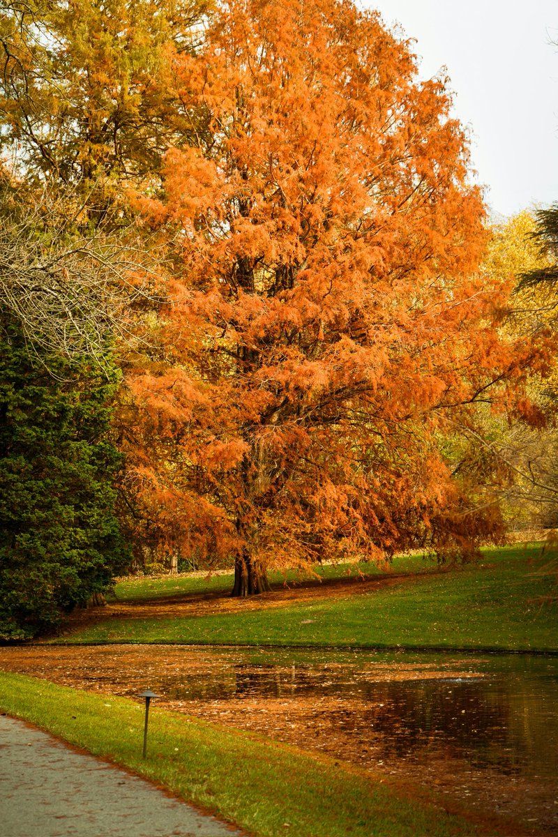 MESSAI_Bill's tweet image. Good Wednesday🍂 #WednesdayVibes