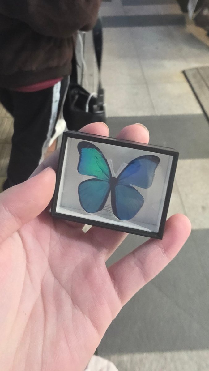 핀드블루 생각나서 뽑앗어