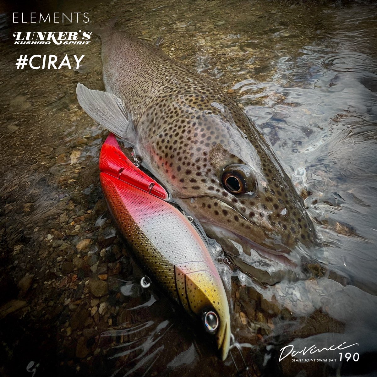 elmnts_jp's tweet photo. 🎣ELEMENTS 豪華プレゼント🎁

＼ダヴィンチの秋キャンペーン／

釣り好き必見の豪華アイテムが合計30名に当たる！

👇賞品をピックアップ紹介👇

🎣 H. ダヴィンチ190 #CIRAY

北海道　地域限定 受注生産カラー CIRAY（チライ）は北海道固有の魚「イトウ」をダヴィンチで作品として表現。
ELEMENTSと北海道で初めての取引を頂いたランカーズクシロ様とのコラボレーションカラーになります。

カラー名もアイヌ語でイトウを意味する「CIRAY(チライ)」に決定。

地域や文化的な背景をダヴィンチのカラーにすることができたと感じております。是非、この機会に北海道以外のアングラー皆様にも、このカラーを手に取って頂きたいと考えております。

その他、豪華商品は後日post🔥

この秋、ELEMENTS正規販売店でお買い物をしてアイテムをGETしよう⚡️
#ELEMENTS #ダヴィンチの秋2025