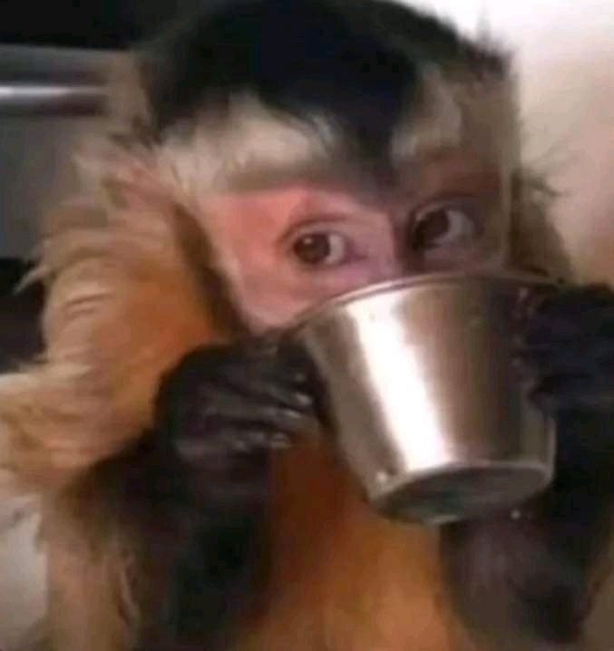 𝐎𝐩𝐩𝐨𝐫𝐭𝐮𝐧𝐢𝐭𝐢𝐞𝐬 𝐀𝐫𝐞𝐧'𝐭 𝐄𝐧𝐨𝐮𝐠𝐡!!

You know how people say, “Once I just get one opportunity, my life will change”?

Yeah… most times it doesn't really work that way.

𝐎𝐩𝐩𝐨𝐫𝐭𝐮𝐧𝐢𝐭𝐢𝐞𝐬 are exciting, they give you small hope.

What people don't