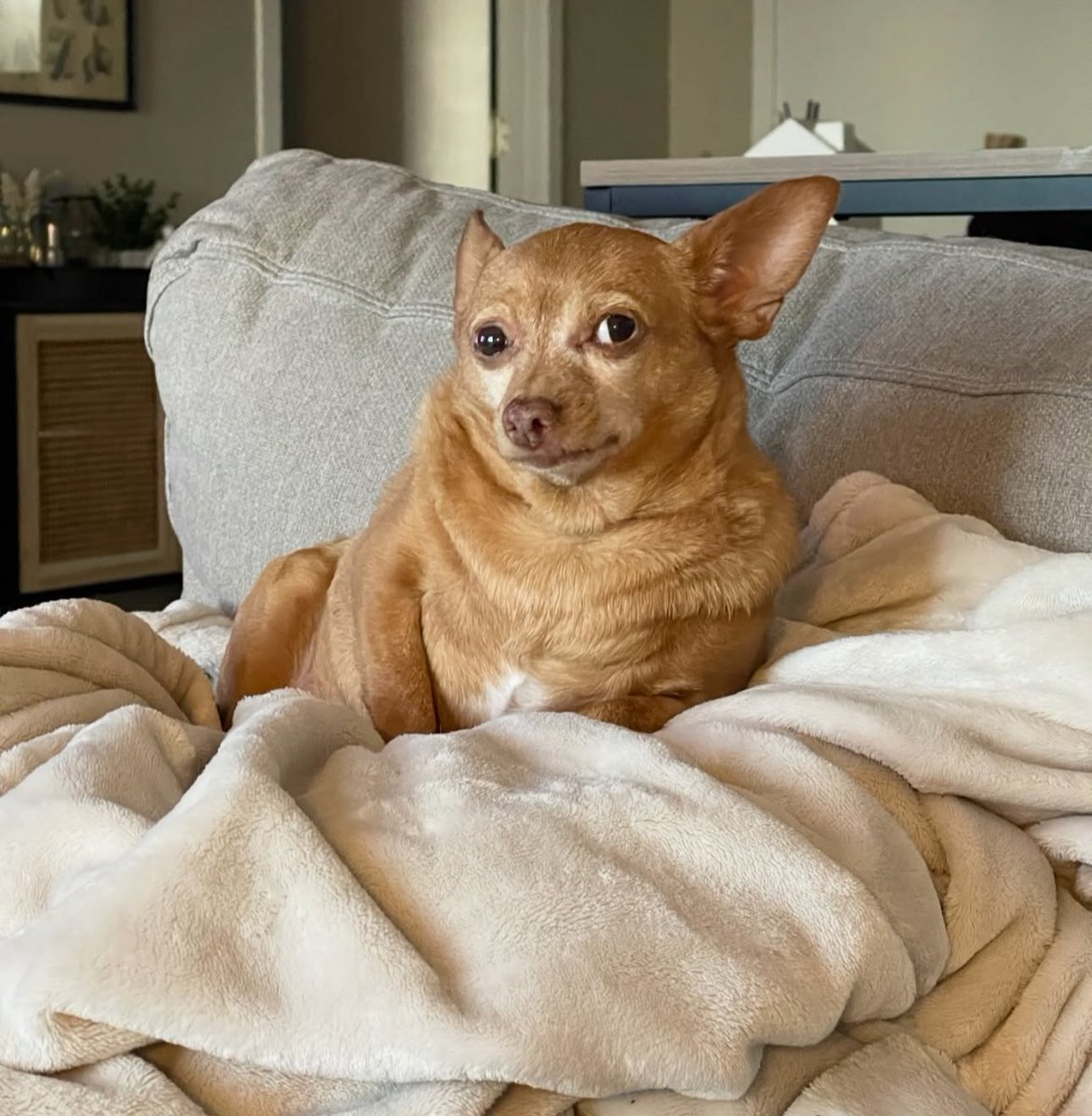 BMS | LOOKING COOL JOEL tweet media