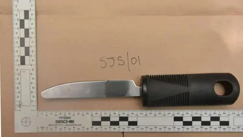 NewSpeak tweet media