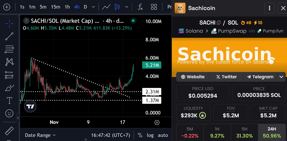gem_detecter's tweet image. I&apos;m calling all degens if you want to make memes better. Support $SACHI community right here.