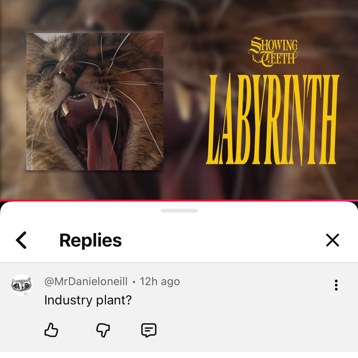 Showing Teeth tweet media