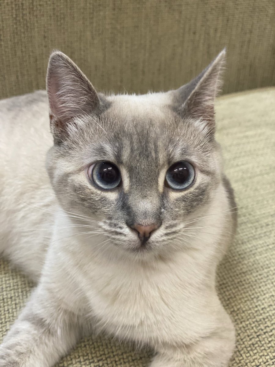 Άντε να φύγεις με τέτοια μούτρα 
Καλημέρες