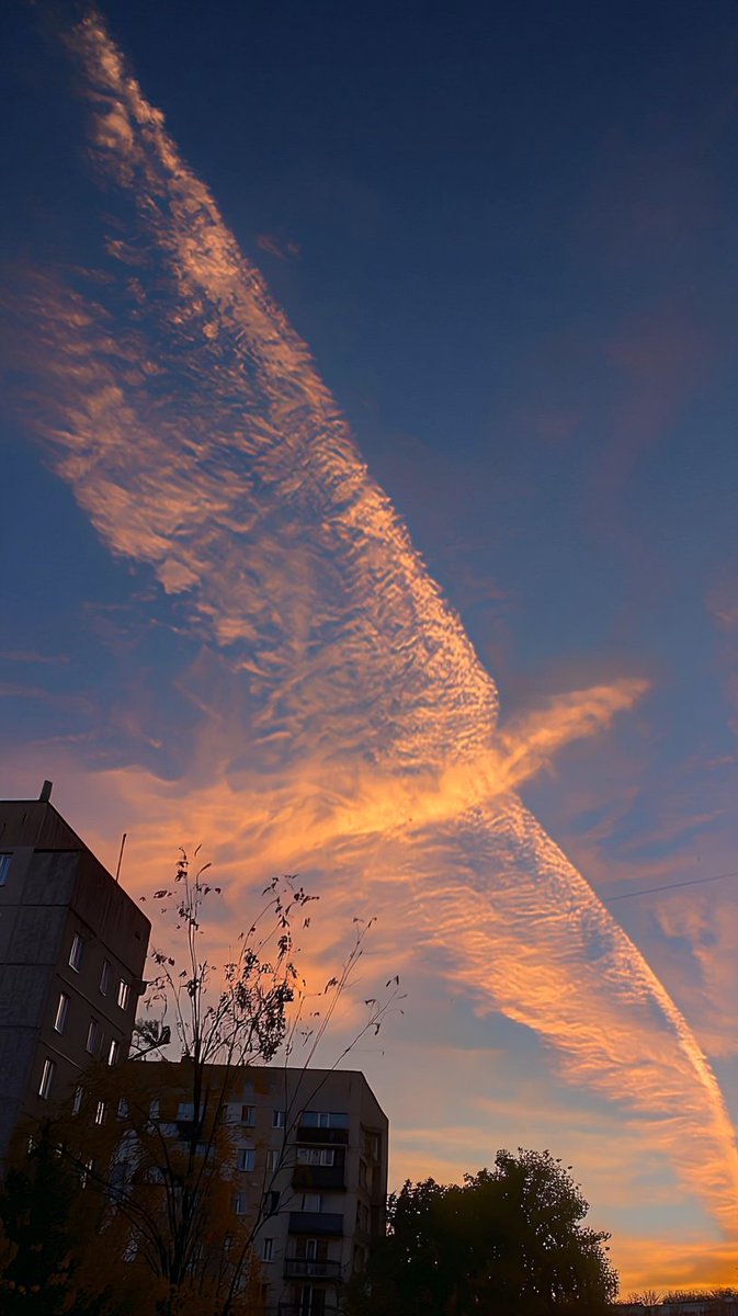 これを見れた私は幸運ですね✨