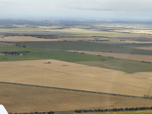 Flexi Grain tweet media