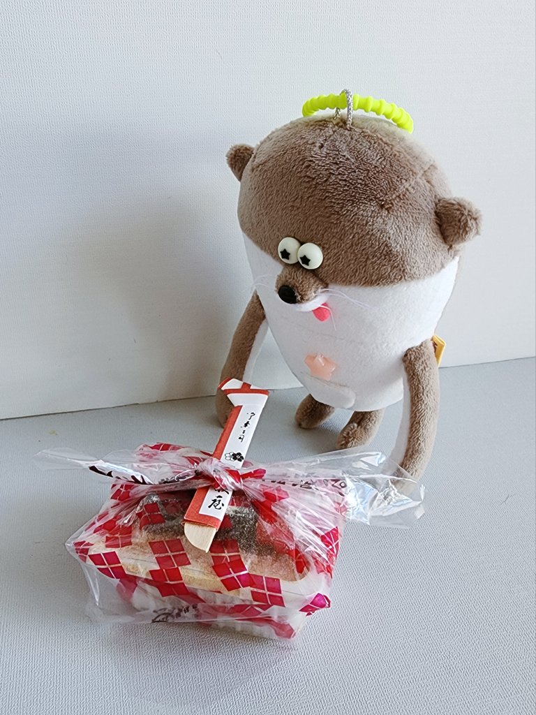 Post by メガスタファーム☆めがほしのぬいぐるみ on X: おみやげもろた☆