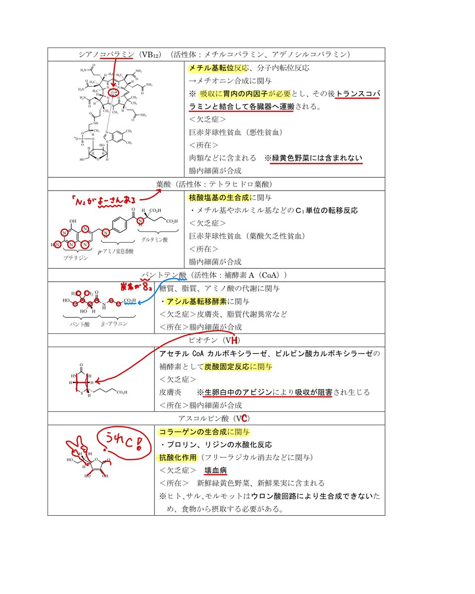 薬剤師国家試験予備校REC (@REC97180043) / Posts / X