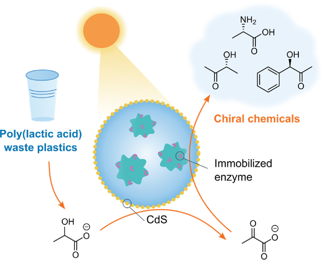 Ning Yan Lab tweet media