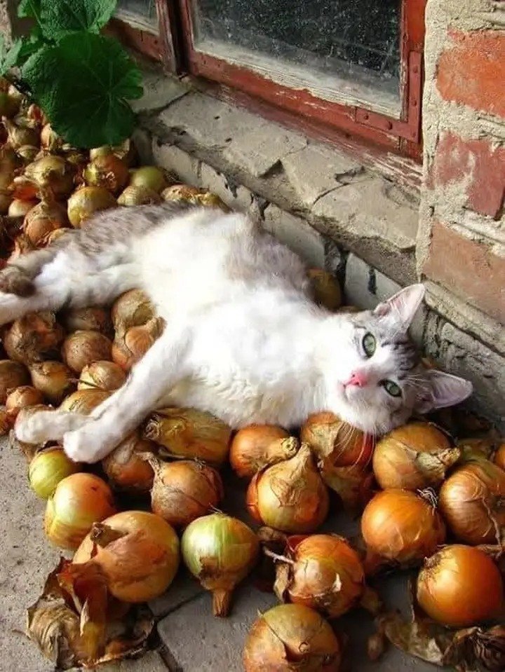 Stan Nasonov (@nasonovstan) on Twitter photo 