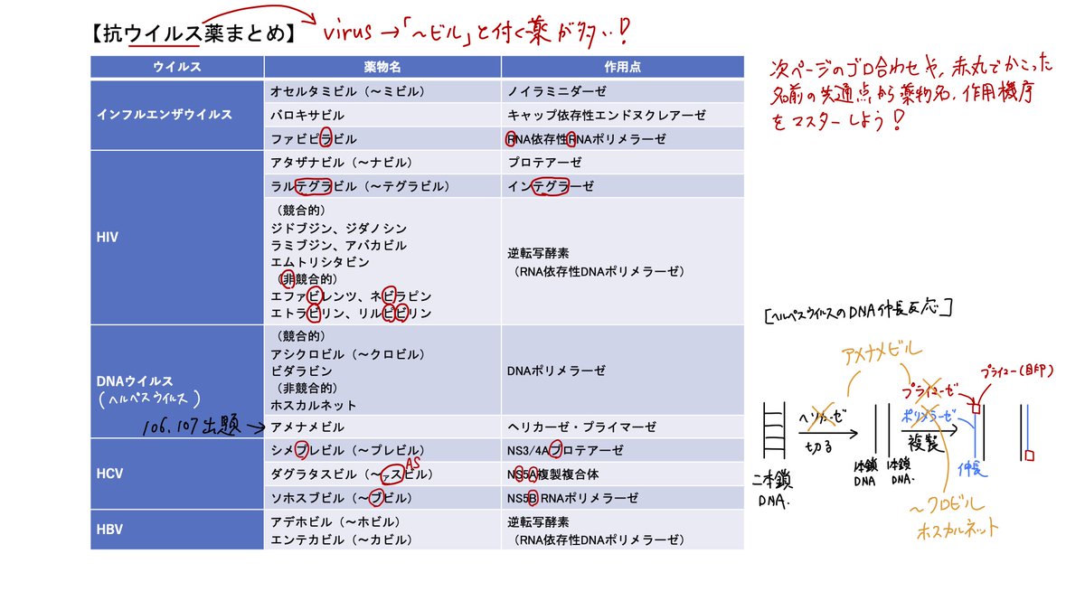 こんばんは。RECのみなみ侑志です。 本日は抗ウイルス薬の作用機序
