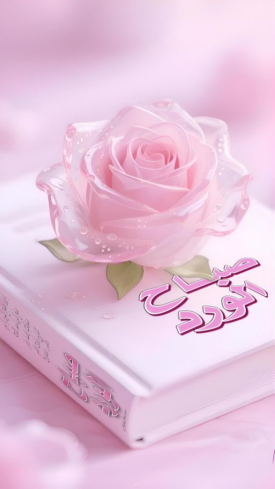 صباح الجمال لمن لا يكتمل نهارنا 
إلا بوجودهم 
صباح النور والسعادة لقلوبكم