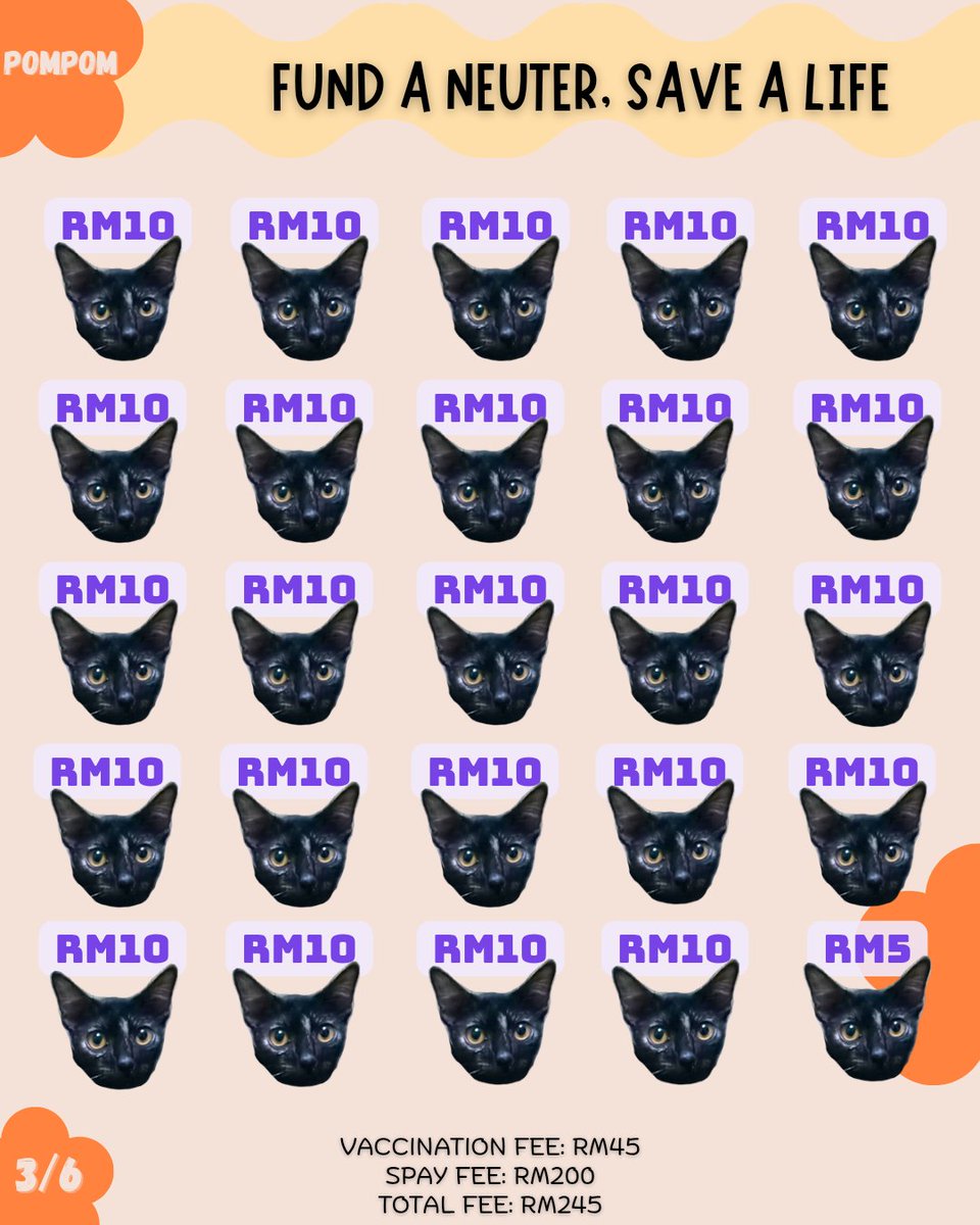 We're planning to send Pompom together with Koko &amp; Tamtam to reduce vet visits. 25 people x RM10 can cover Pompom's vaccination &amp; neuter costs 🙏🏻