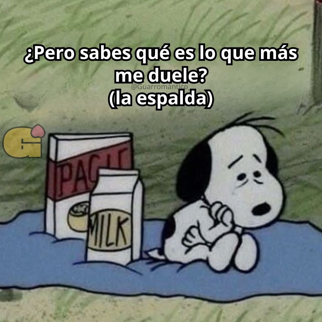 El Guarromántico tweet media