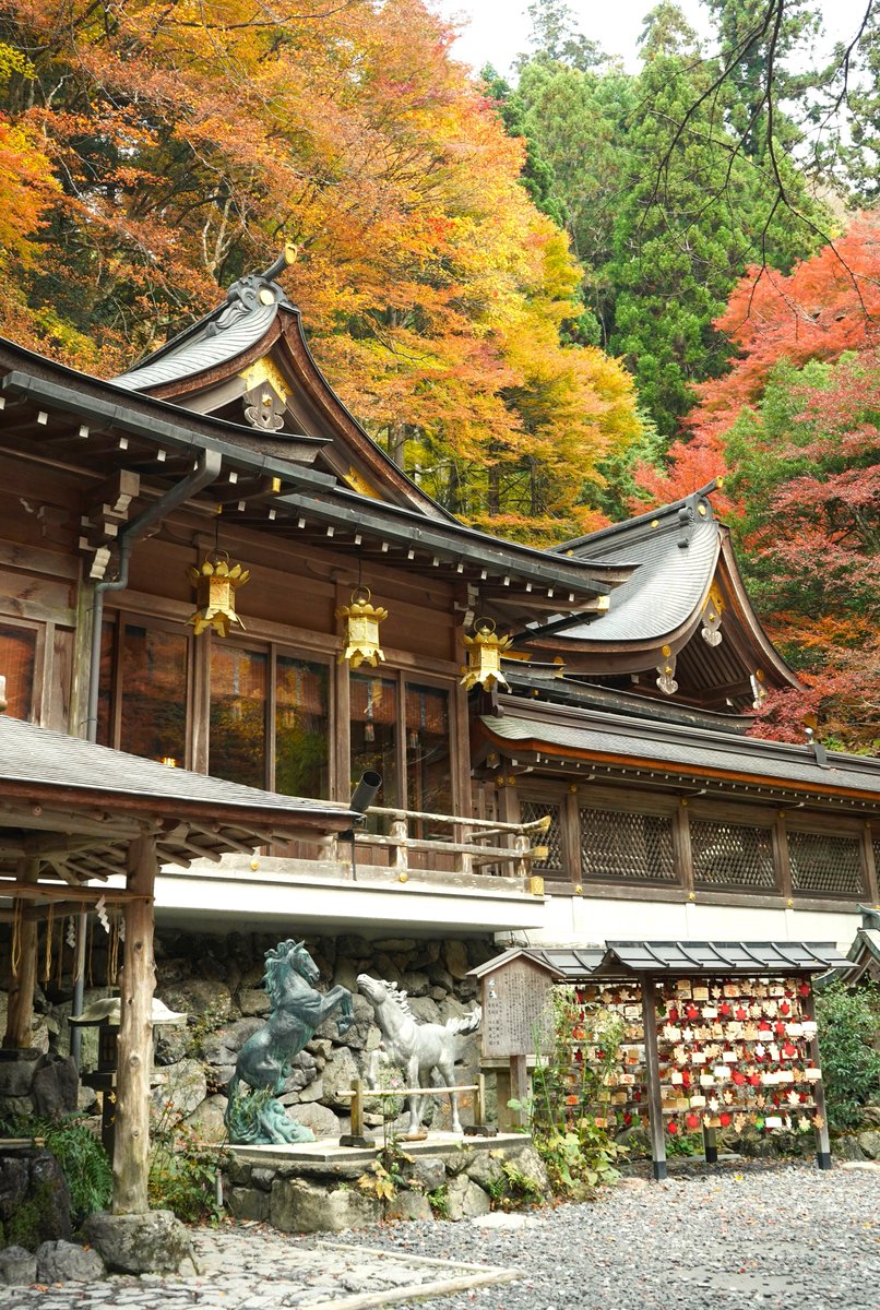 kifunejinja's tweet photo. 貴船の紅葉の様子です。
（本年１１月１８日撮影） https://t.co/RClGsAhtZR