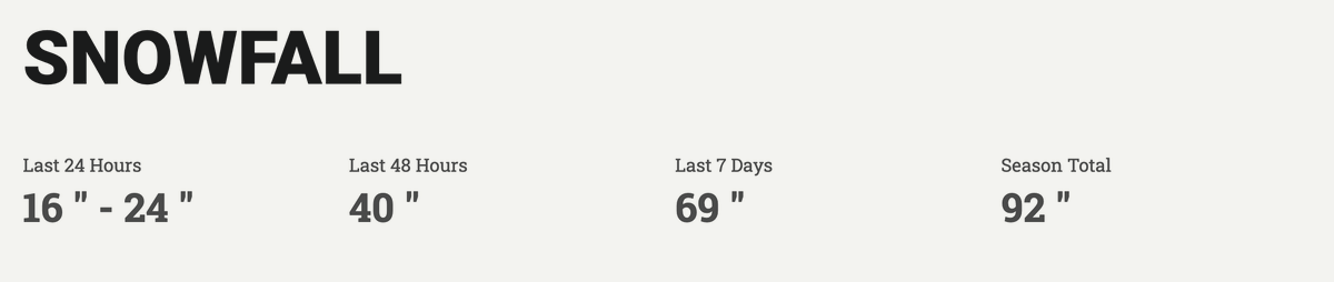 FreeYourMind tweet media