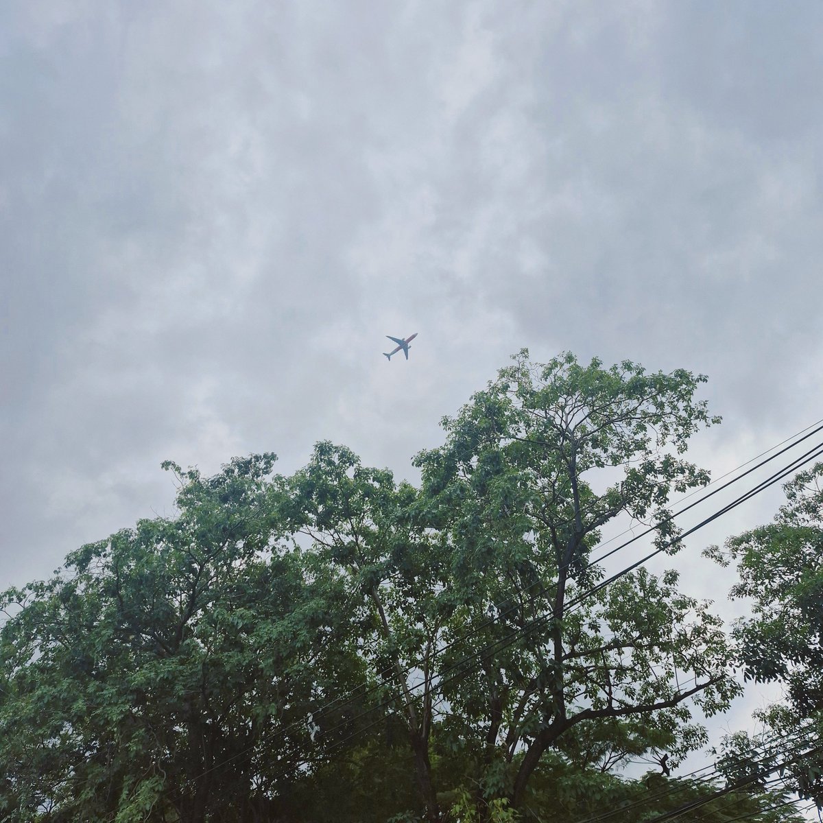 มอมแมม tweet media