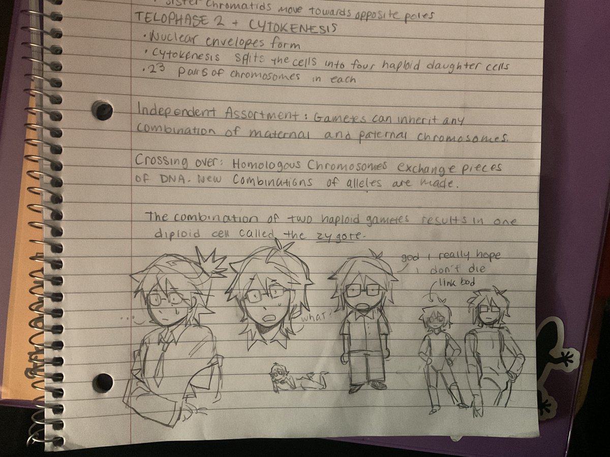 VickyValentine tweet media