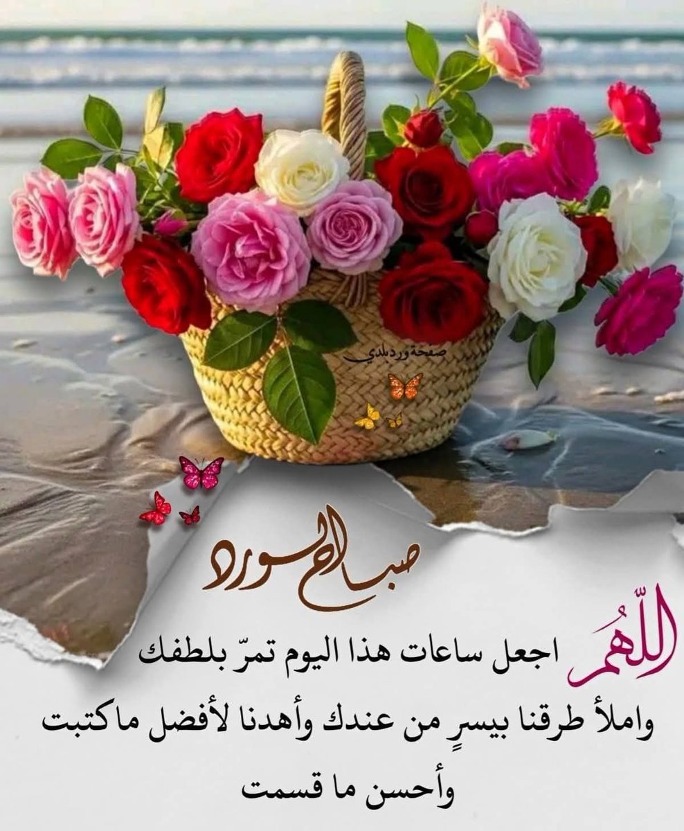 ياسر الدسوقى (@z1dstwcwddjcvjg) on Twitter photo 