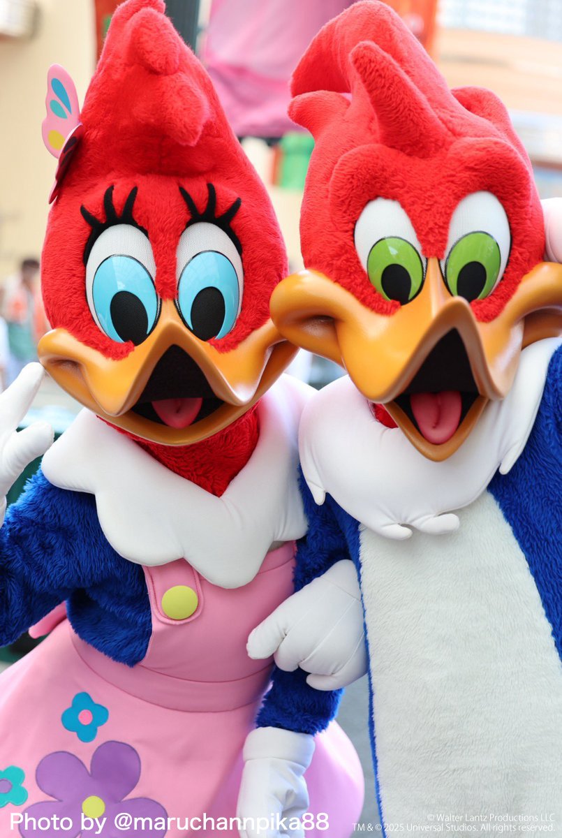 ウィニーウッド ウィニーちゃんとの仲良し写真もたくさんあります🥰 仲が良すぎるのか2