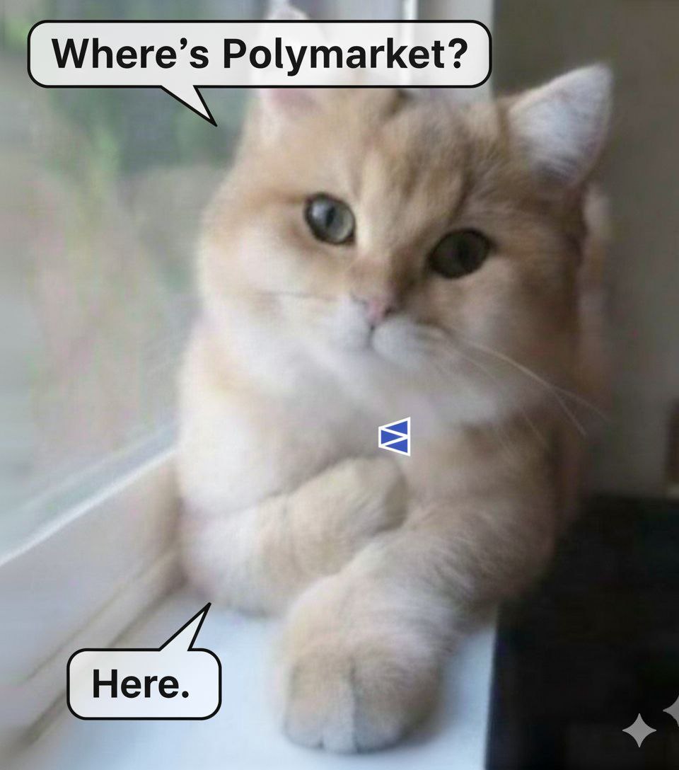 BitKitik's tweet image. Polymarket ♥️