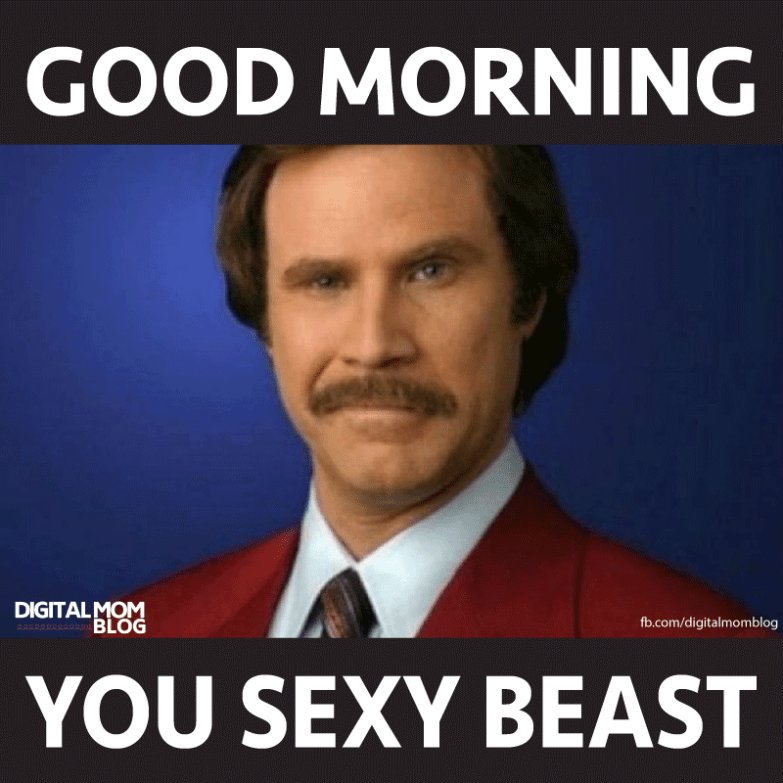 3er1e's tweet photo. Good morning darlings ☀️ https://t.co/rF0iyDMnAs