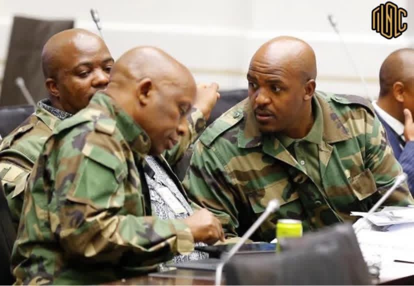 Nomvalo, Shongwe and Skosana: 

1. Present daily 
2. Ask relevant questions 
3. Do not take sides 
4. Do not skip days when people they know are questioned 

Greatest thing to happen to the Adhoc Committee