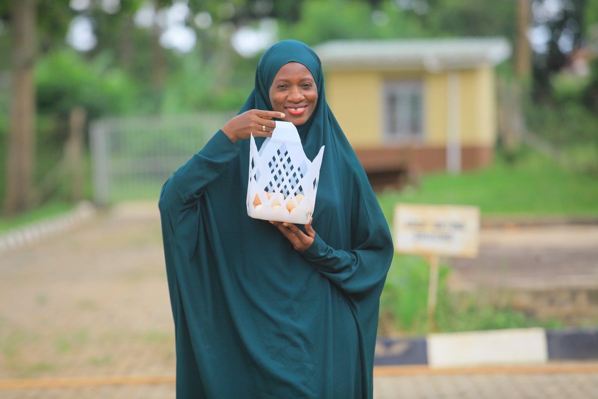 Did you know you can rent a poultry structure and jumpstart your poultry career without having to spend all money in construction!!! <a href="/DenisDukeUG/">Denis Duke Woniala🇺🇬</a> 
#patlama #PoultryFarming