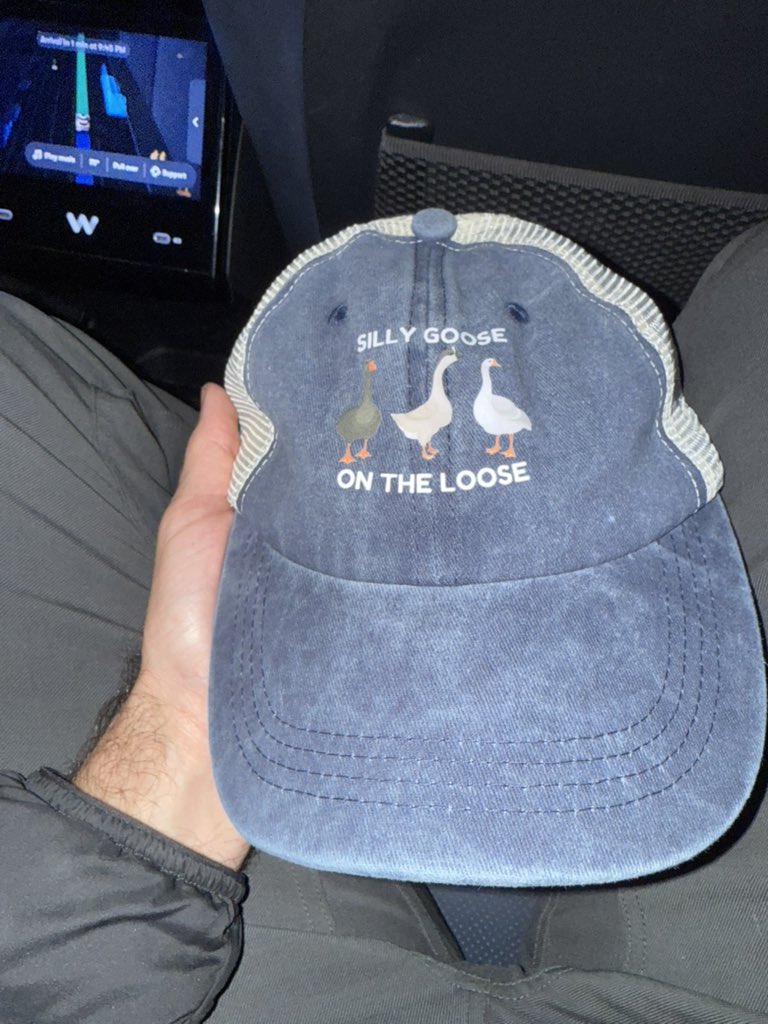 growing_daniel's tweet image. Silly goose

On the loose