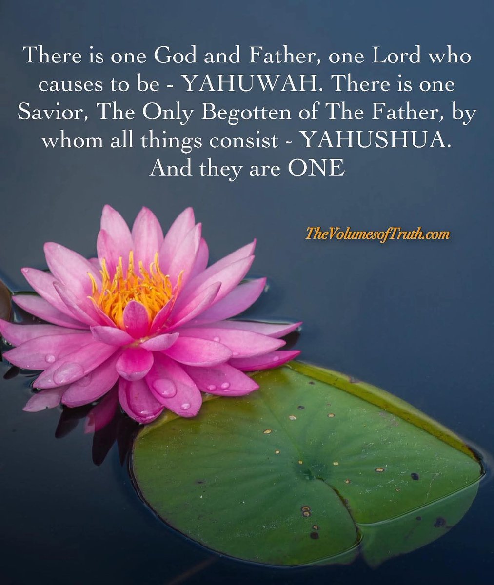 JS4Yah's tweet photo. Excerpt From: https://t.co/Nmd8adMXY7

#TheVolumesofTruth #Prophecy #YAHUWAH #YahuShua #Jesus #JesusChrist #God #Savior #Mashiach #Lord #JesusisLord #titles #name #onetruth #oneword #onelord #onegod  #onespirit #one #truth https://t.co/51AAfAqqiY