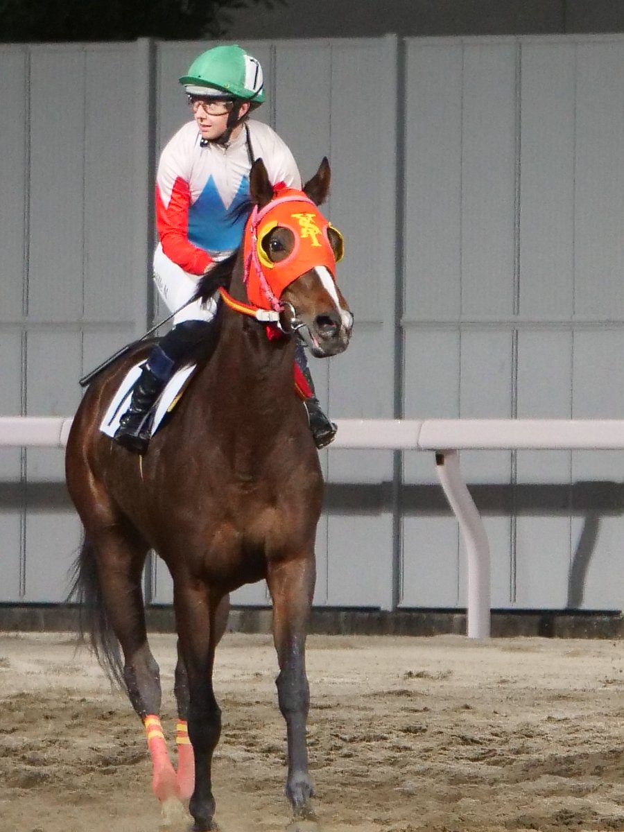 2025.11.18 川崎競馬５R
ボルドーティラミス＆M.ミシェル
短期免許最終週、ひとつでも多くの勝利を❗
#ボルドーティラミス
#MickaelleMichel
＃川崎競馬