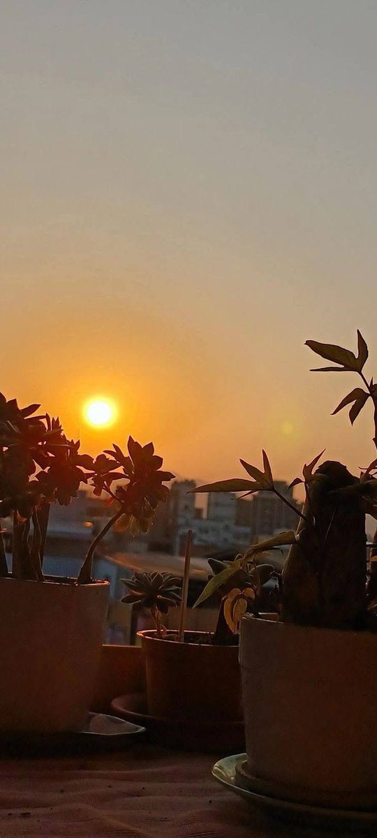 NajiNiveen's tweet photo. صباح الخير ☀
عود نفسك كل صباح أن تقول: اللهم إني أسألك خير ما في هذا اليوم، فَتْحَه وَنَصرَه ونورَه وَبَرَكته وَهُداهُ " استودعُ الله الذي لا تضيع ودائعه ديني ونفسي و��مانتي وخواتيم عملي وأبنائي وأهلي وأحبتي وبيتي ومالي وجميع ما أنعم الله به عليّ https://t.co/KF93r9EGS3