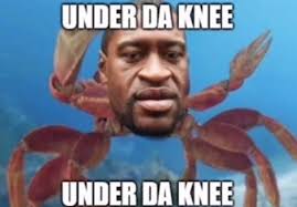 HowlingPinochet's tweet image. 