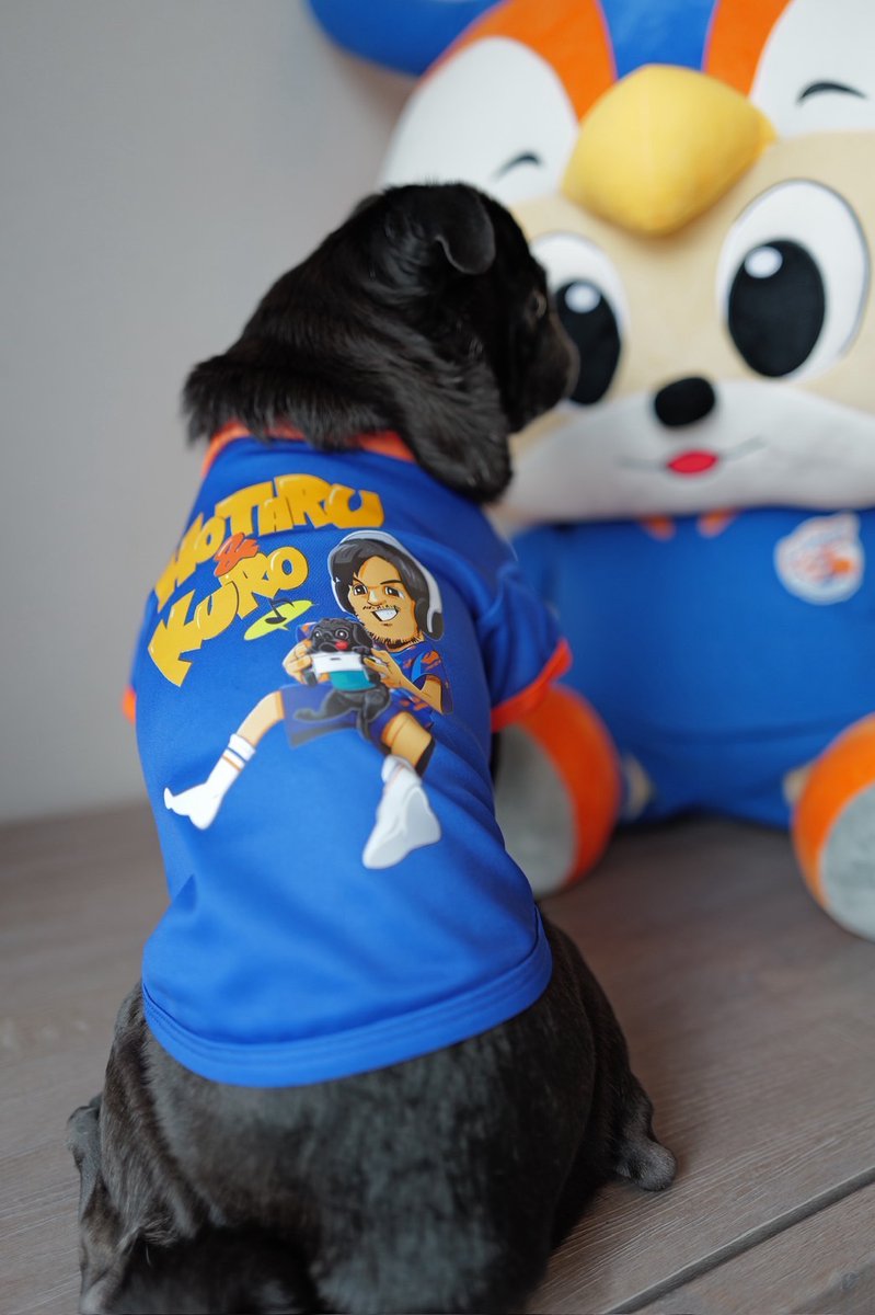 🔷新・グッズ情報🔶 【V-LOVERS会員限定販売‼】 📅11/26(水)12:00まで