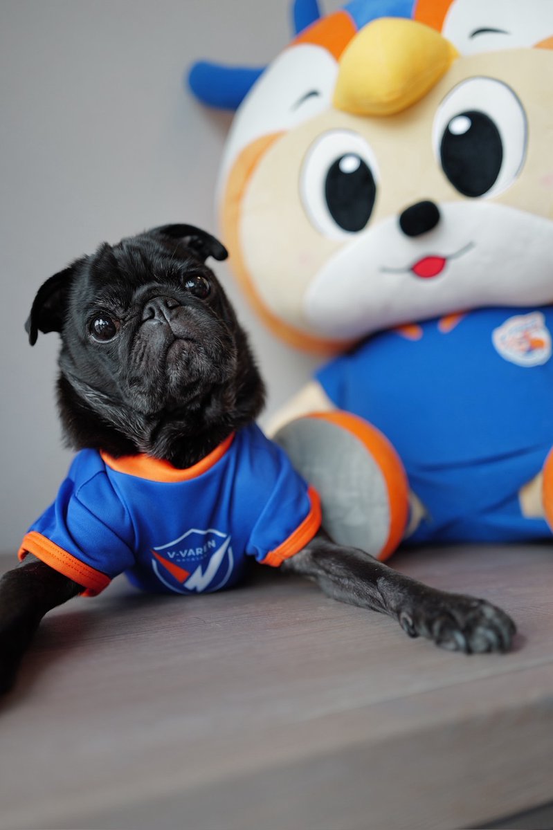 🔷新・グッズ情報🔶 【V-LOVERS会員限定販売‼】 📅11/26(水)12:00まで