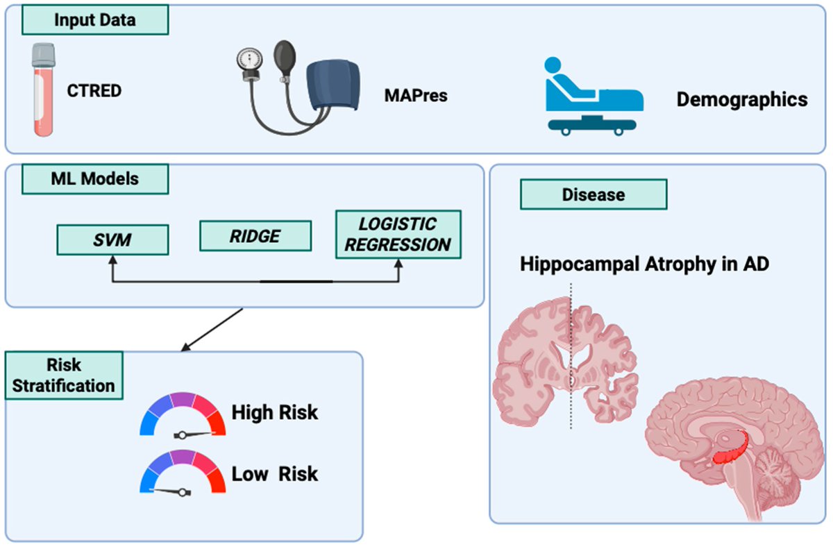 emtanaka's tweet image. 🔍 SHAP &amp;amp; PFI reveal the truth: MAPres + #Sex drive atrophy risk ⚡ #Age? Barely matters! 👀 @Biomed_MDPI @MDPIOpenAccess #ExplainableAI #BrainScience 🧠💡👇
mdpi.com/2227-9059/13/1…