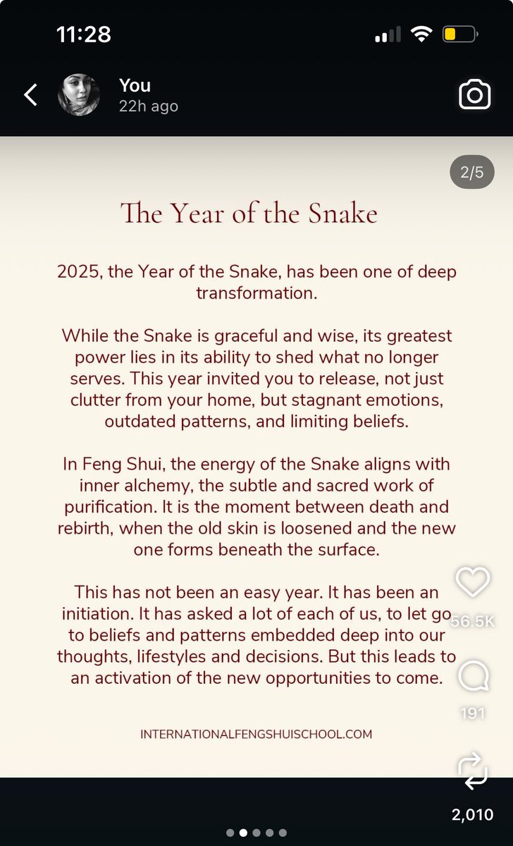 srushtispace's tweet image. so much suddenly makes sense knowing 2025 was the year of snake