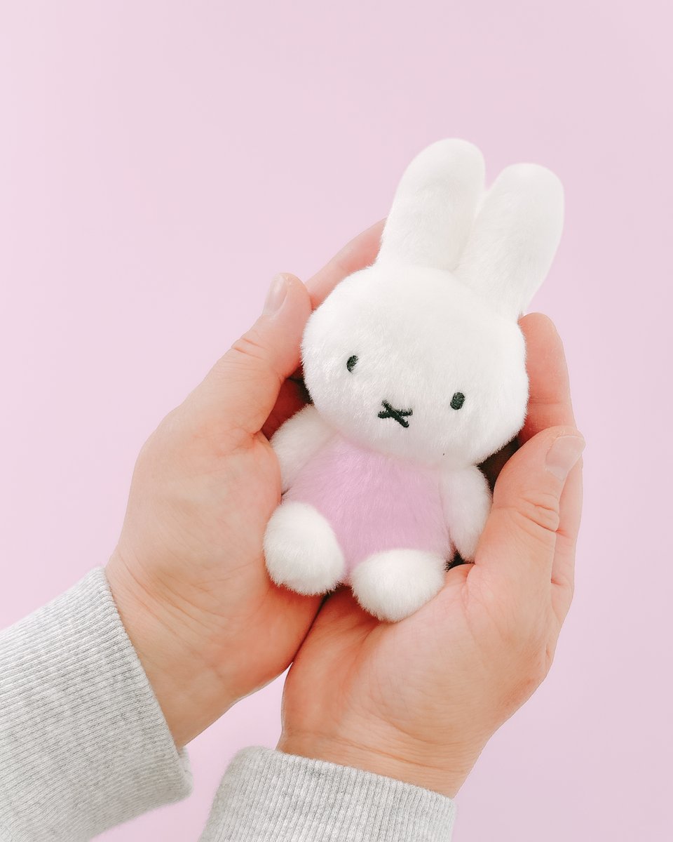 ミッフィースタイル【公式】 (@miffy_style_t) / Posts / X