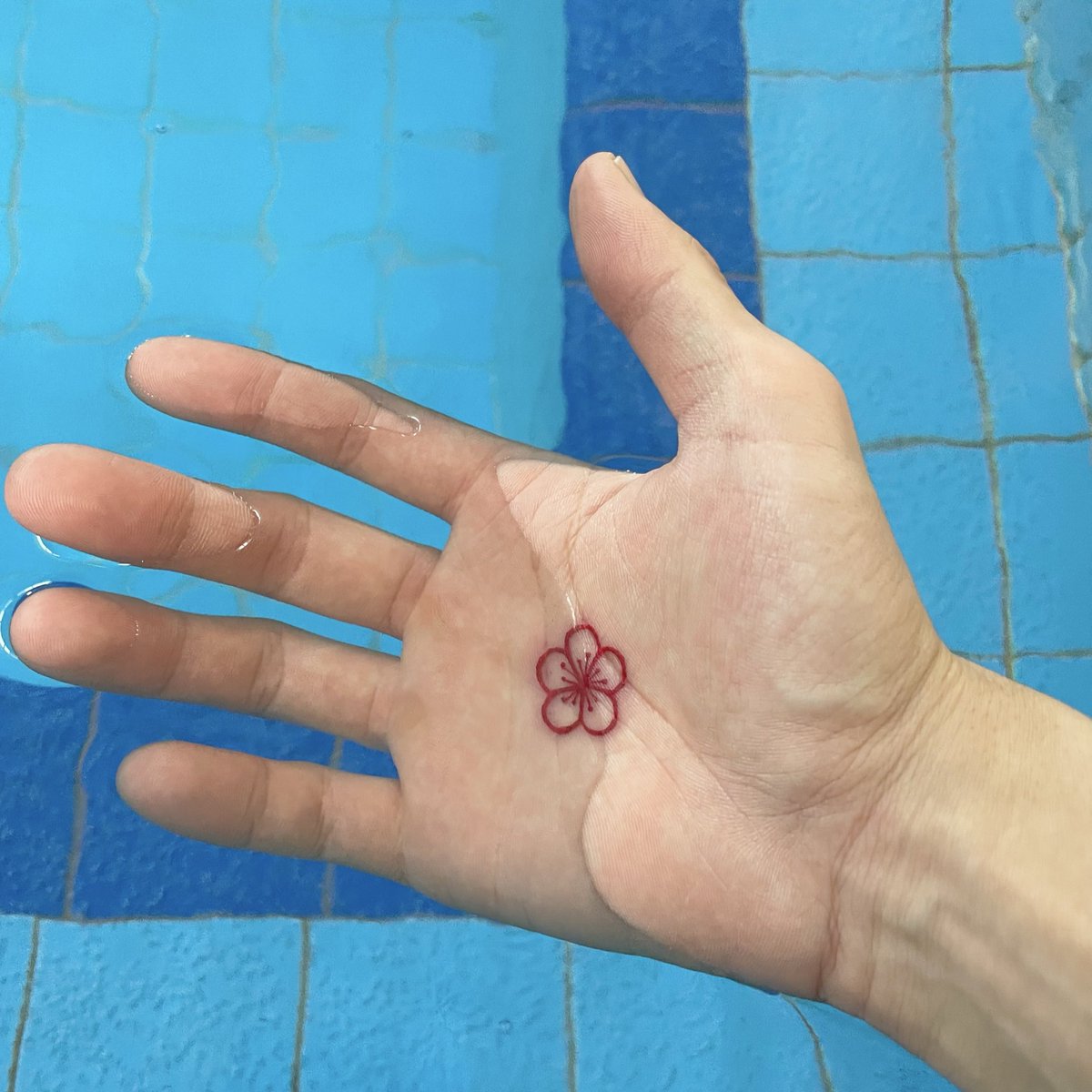 sento_vibes's tweet image. 梅の花