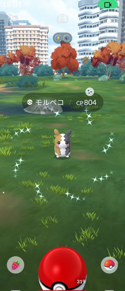 toshiPokego's tweet image. やっと出てくれた✨😃