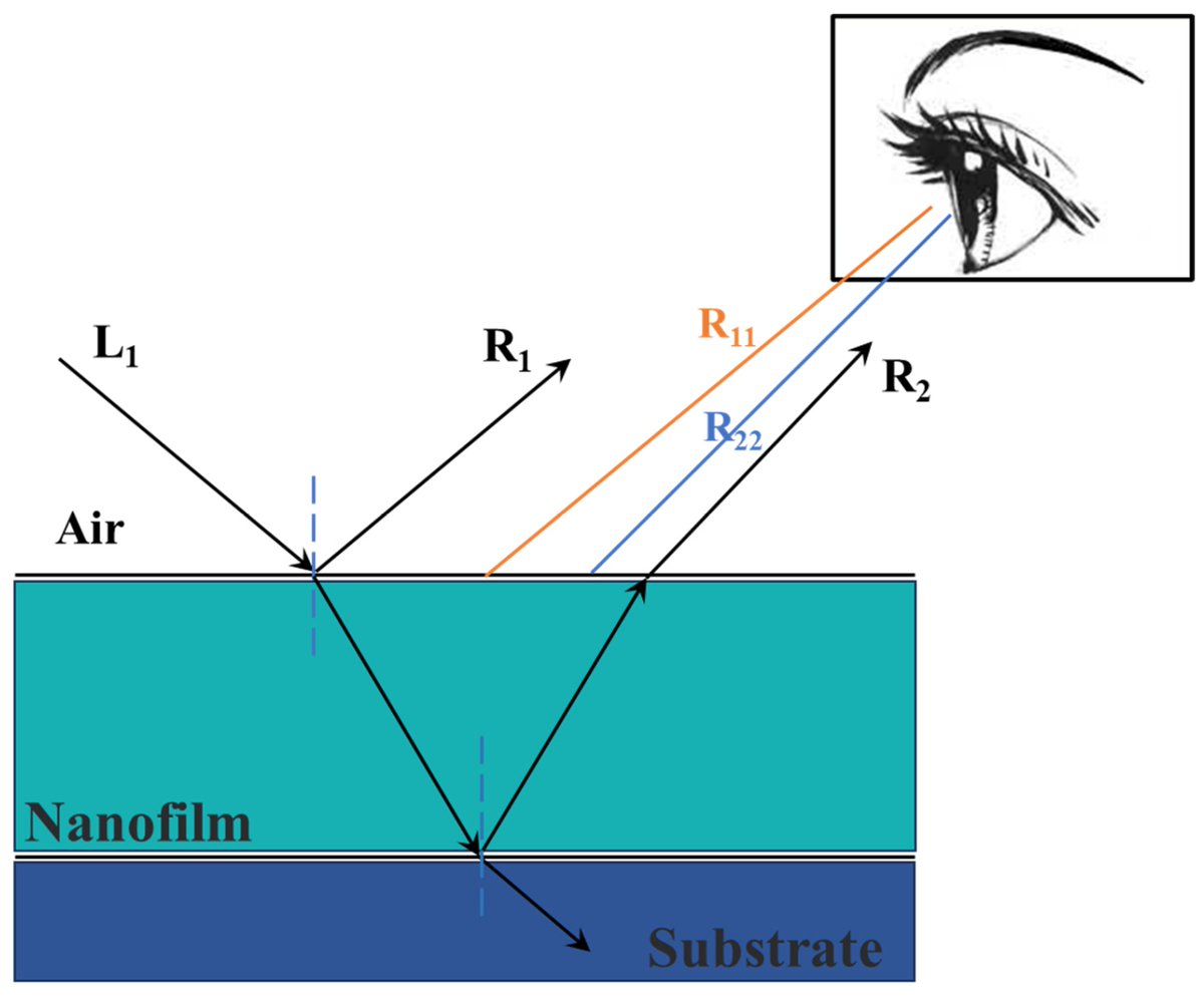 Biomim_MDPI's tweet image. 🎨🌱Structural color provides a greener alternative to chemical textile dyes.
Using polycatechin (PCC) nanofilms, this study produces bright, uniform, and controllable colors on silk fabrics through thin-film interference.

🔗 mdpi.com/2313-7673/9/1/…

#Textiles #StructuralColor