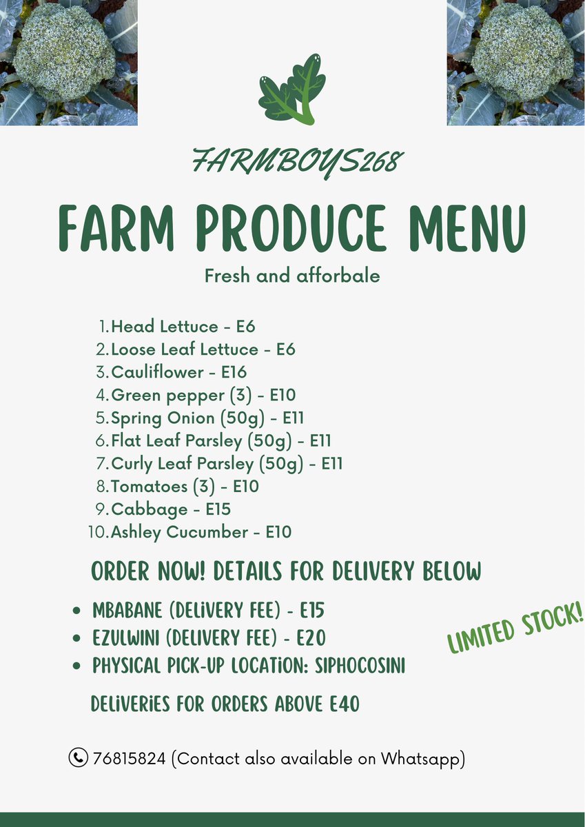 Sibongakonkhe88's tweet photo. Hey #TiniTwitter, I’m selling cucumber and another veggies. I do deliveries around Mbabane CBD and Ezulwini Gables. Please check out my menu and see if something green will tickle your tastebuds https://t.co/bpju4x3MAQ