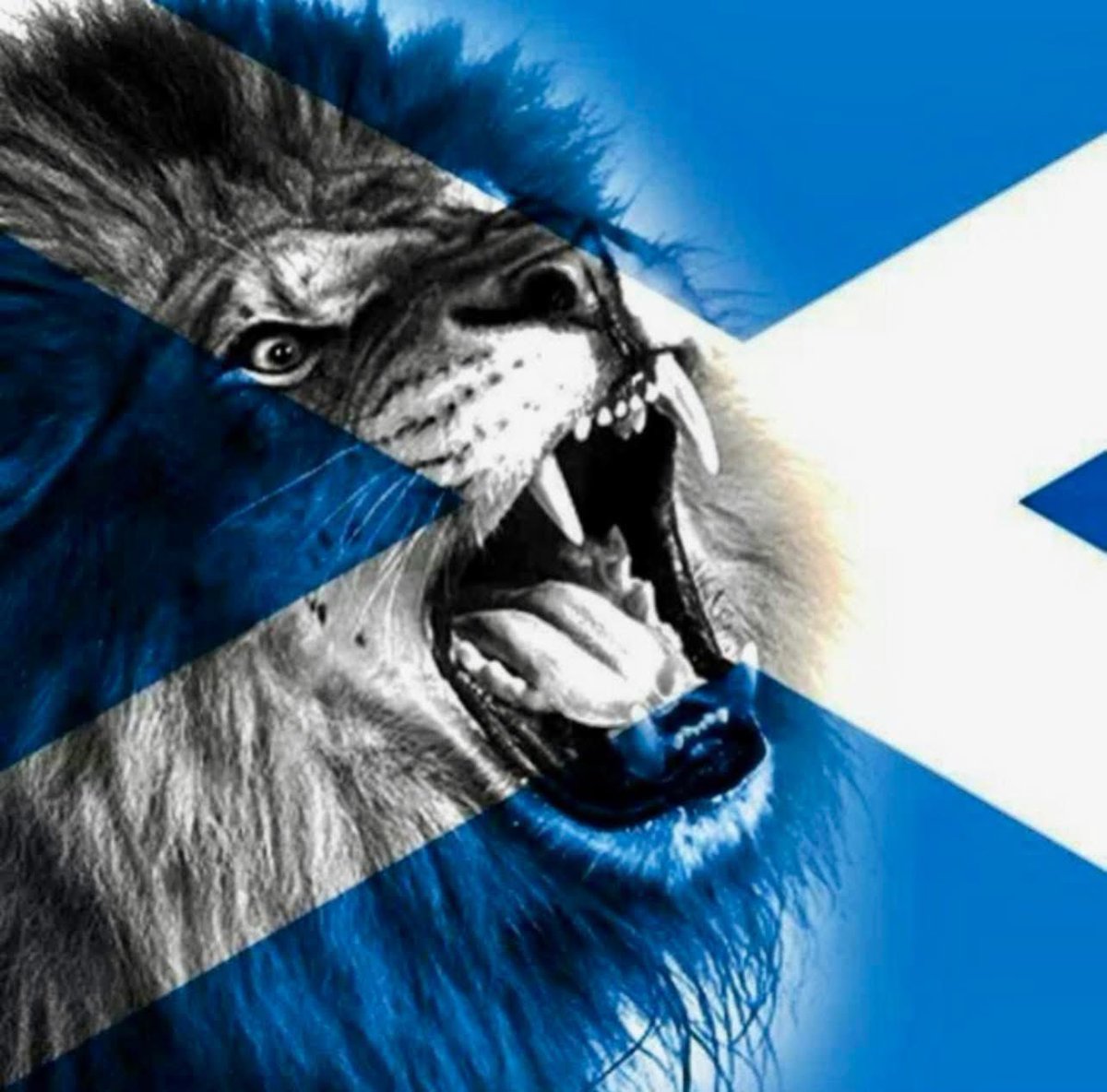 *Wednesday November 19th 06:06

Windy says if I was Minister for Sport it would be a national holiday . . . Away back tae yer bed. Take the day aff. Let’s party 

No Scotland. No Party 👀💪🏴󠁧󠁢󠁳󠁣󠁴󠁿💜⚽️