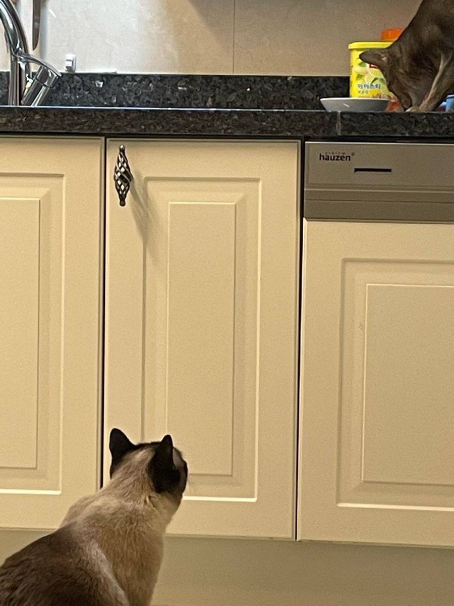 ออน... ลงมาเถอะ เดี๋ยวป๊าดุ  ⌯⩊⌯