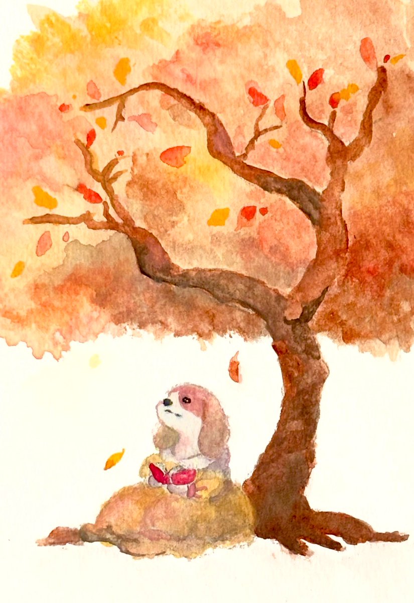 さくら🌸 (@sakura_in_pict) / Posts / X