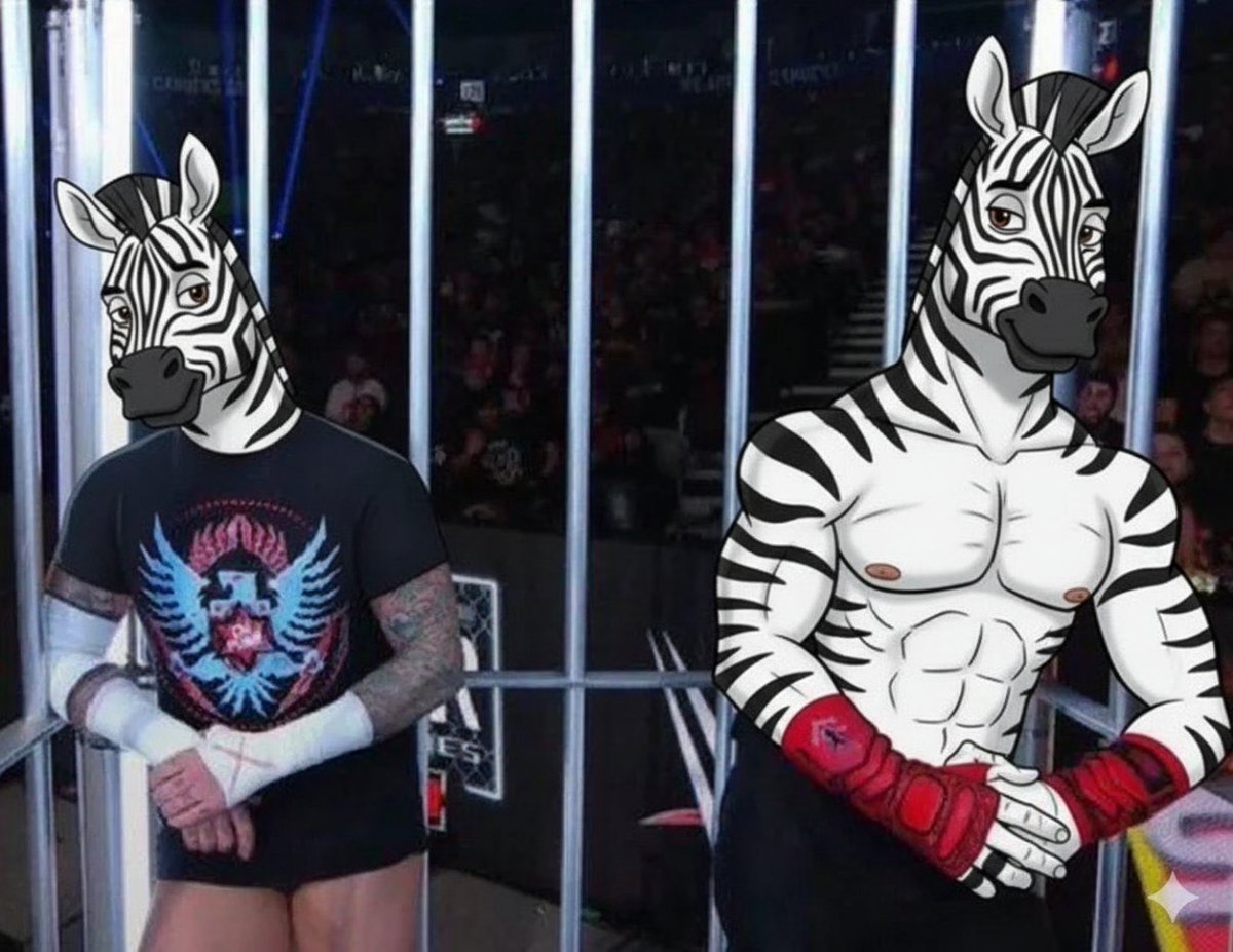 thehoshangkoul's tweet image. ZEEBROS MAIN EVENTING WRESTLEMANIA RAAAAAAAAHHHH