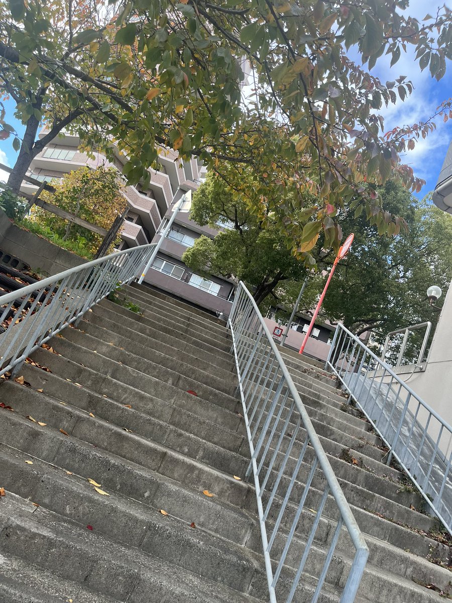 ばらたまる🪿 tweet media