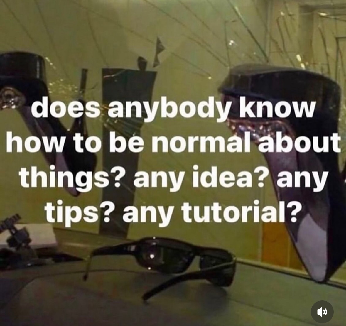 Respectful Memes (@respectfulmemes) on Twitter photo 